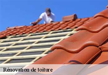 Rénovation de toiture