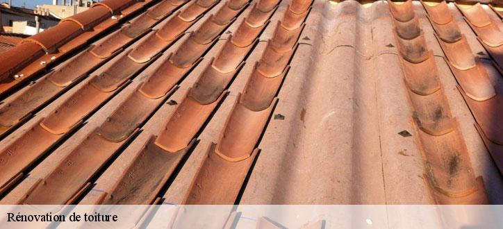 Rénovation de toiture