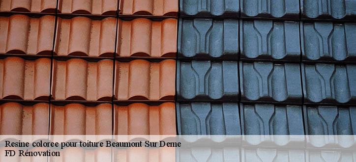 Resine coloree pour toiture