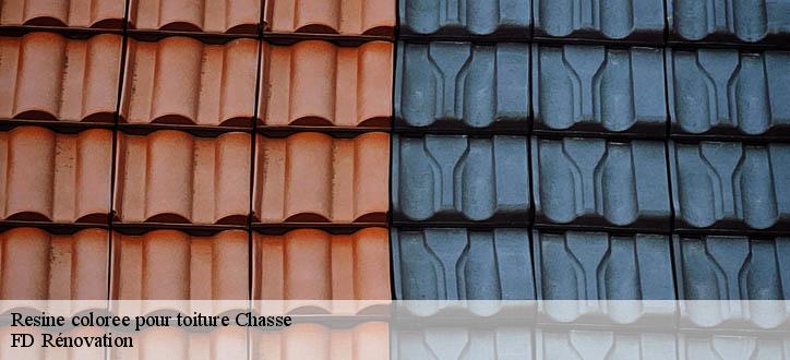 Resine coloree pour toiture