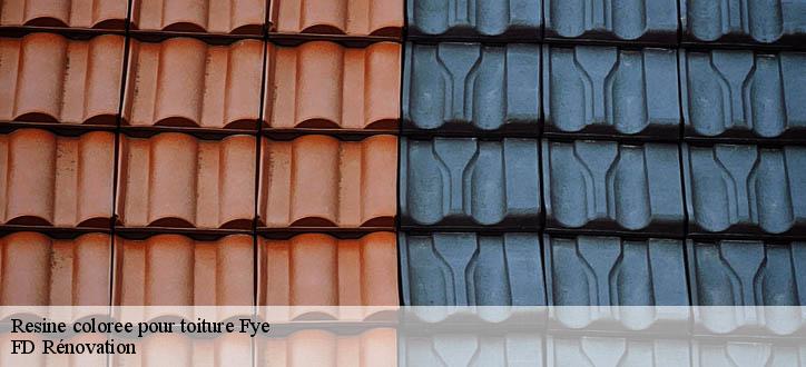 Resine coloree pour toiture