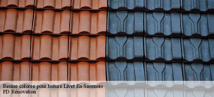 Resine coloree pour toiture