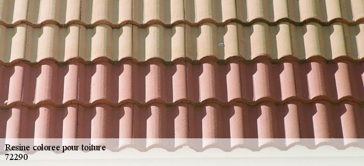 Resine coloree pour toiture