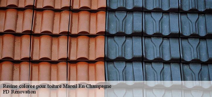 Resine coloree pour toiture
