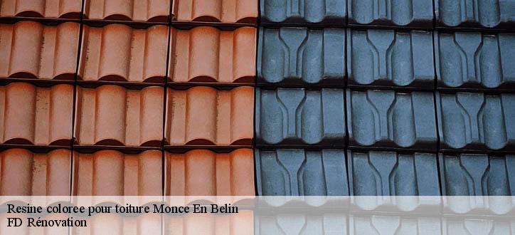 Resine coloree pour toiture