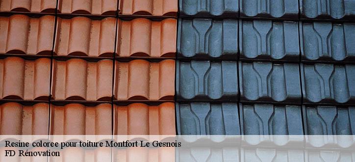 Resine coloree pour toiture