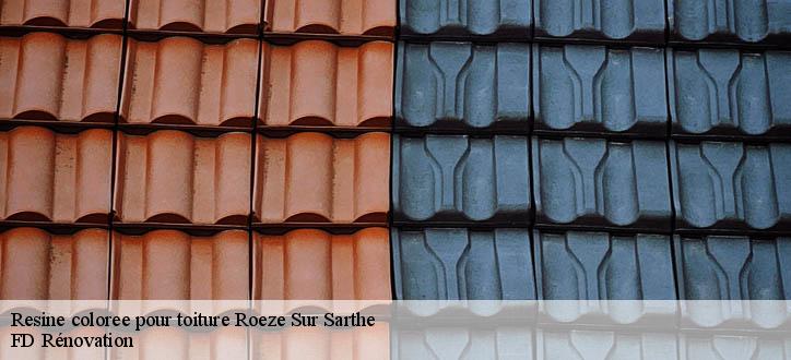 Resine coloree pour toiture