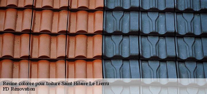 Resine coloree pour toiture