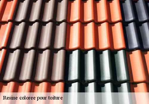 Resine coloree pour toiture