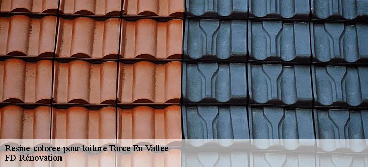 Resine coloree pour toiture